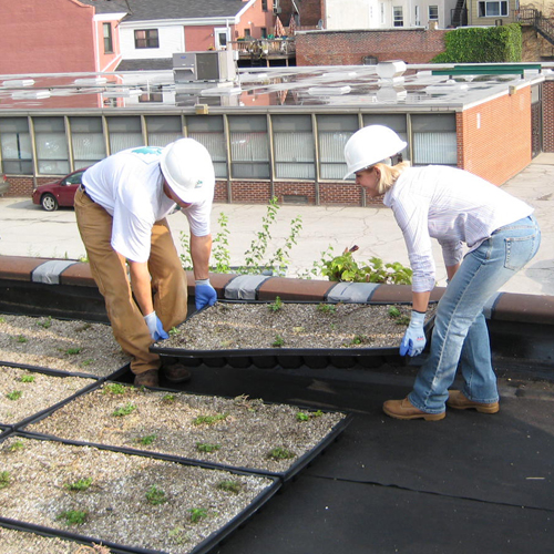 Installing a green roof monitoring