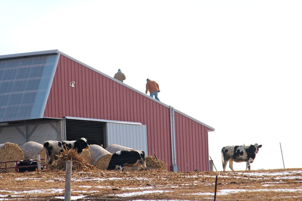 Installing the solar panels - Gibbs Dairy goes solar