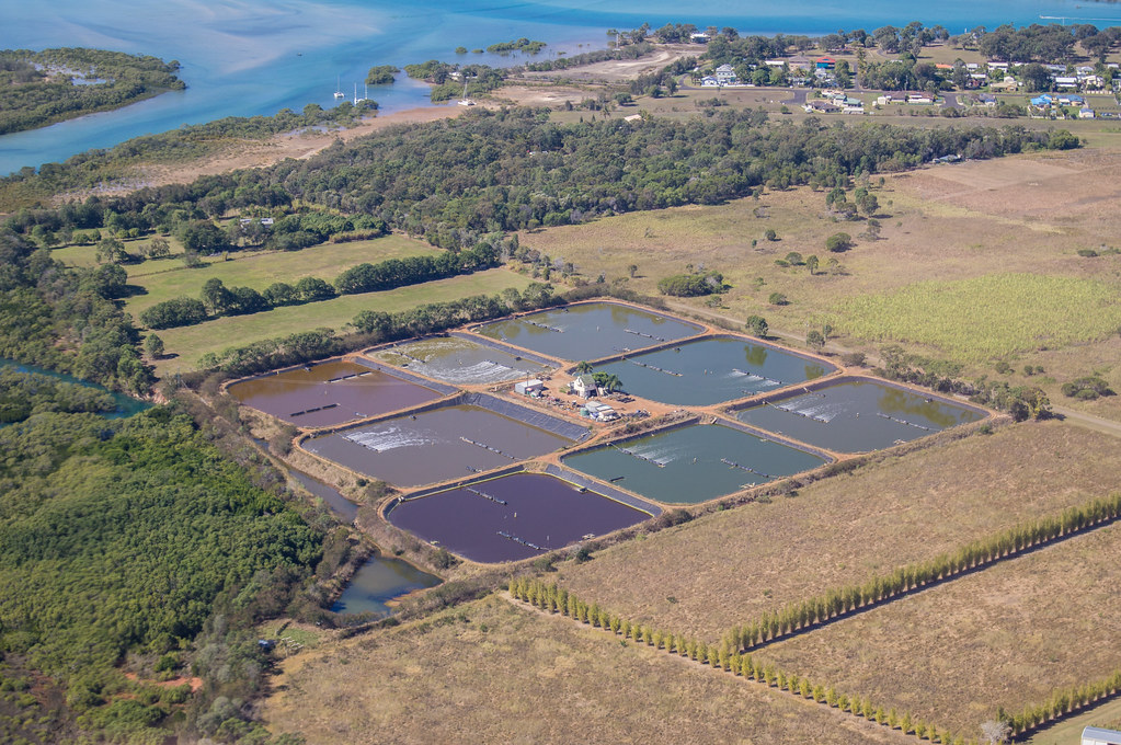 Prawn Farm solar powered