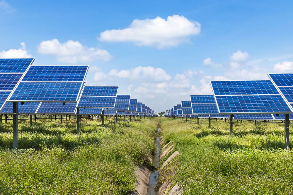 Bifacial Solar Panels